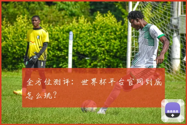 全方位测评：世界杯平台官网到底怎么玩？