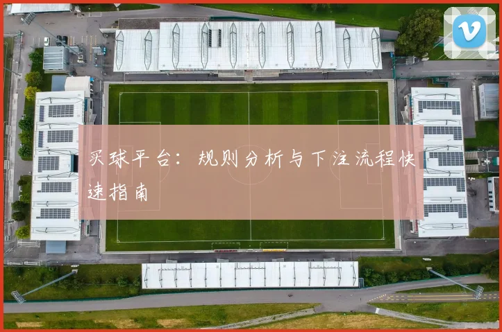 买球平台：规则分析与下注流程快速指南